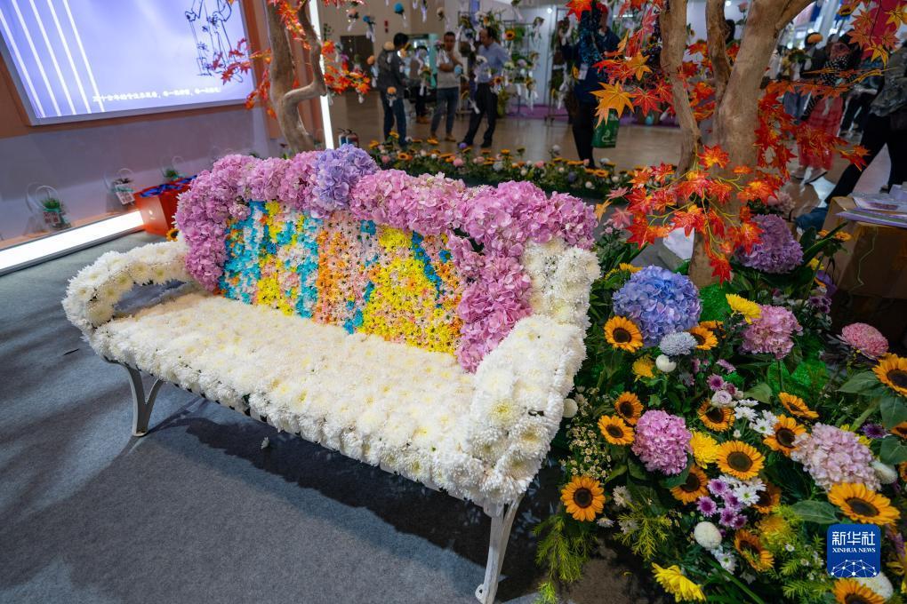 金钱豹vip贵宾相信您的选择